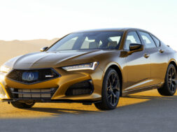 Article_171857_860_575