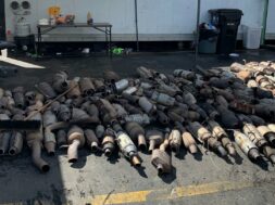 cat-thefts-la-county-lead