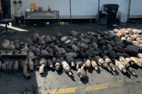 cat-thefts-la-county-lead