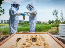 171a2a2193e4ed417a01f8cd3c374b209190b5e1