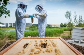 171a2a2193e4ed417a01f8cd3c374b209190b5e1