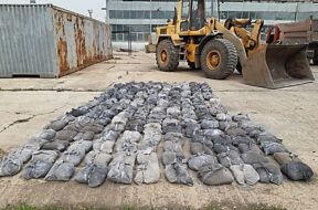 44ed9ad966cb5de5cea9e758036d6952f8fdaad2