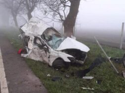 Accident-Audi-rupt-in-doua