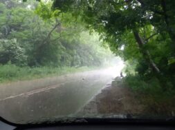 196731902_2858837644327931_1116971981906193124_n