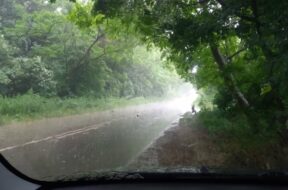 196731902_2858837644327931_1116971981906193124_n