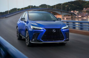 Article_172364_860_575