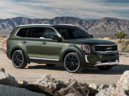 Article_172387_860_575