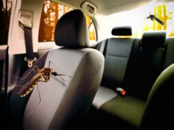 2c0f2768df71eec8743fb66f487e2bb0e8d004bd