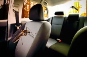 2c0f2768df71eec8743fb66f487e2bb0e8d004bd