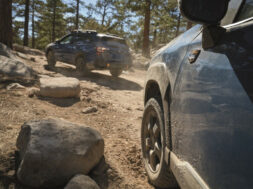 Article_172642_860_575