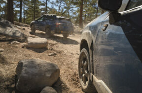 Article_172642_860_575