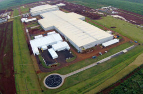 Article_172698_860_575