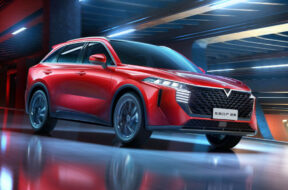 Article_172716_860_575