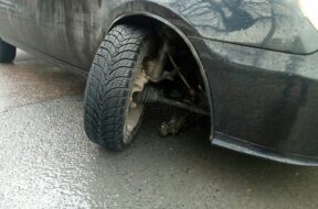 i0edisljcrmqs_1s9p964.jpeg.740x555_q85_box-0,0,1200,900_crop_detail_upscale