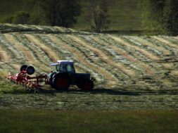 Erster Grasschnitt im Allgäu
