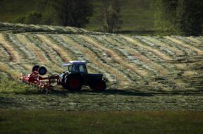 Erster Grasschnitt im Allgäu