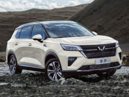 Article_172735_860_575