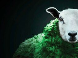 1_o-gOh6tFS4RnR_p8UfUS_g