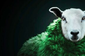 1_o-gOh6tFS4RnR_p8UfUS_g