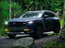 Article_173207_860_575