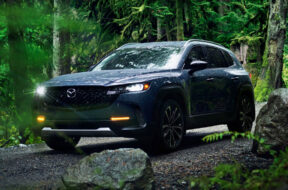 Article_173207_860_575