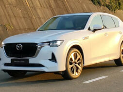 Article_173215_860_575