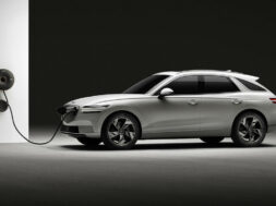 Article_173239_860_575