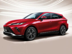 Article_173267_860_575