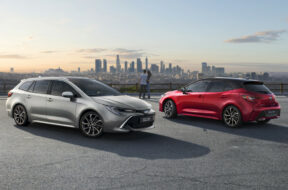 Article_173300_860_575