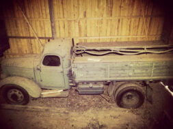 Article_173358_860_575