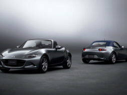 Article_173381_860_575