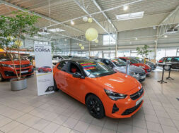 Article_173387_860_575