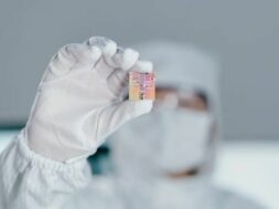 estudio-microchips-202183571-1639760866_1