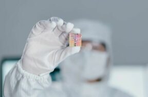 estudio-microchips-202183571-1639760866_1