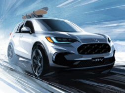 Article_173516_860_575