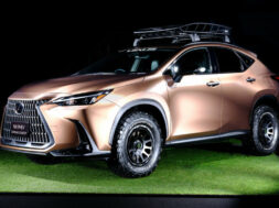 Article_173524_860_575