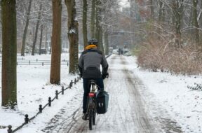 Radfahrer im winterlich verschneiten Tiergarten, Berlin, Deutschland, Europa *** Cyclist in winter snowy Tiergarten, Ber