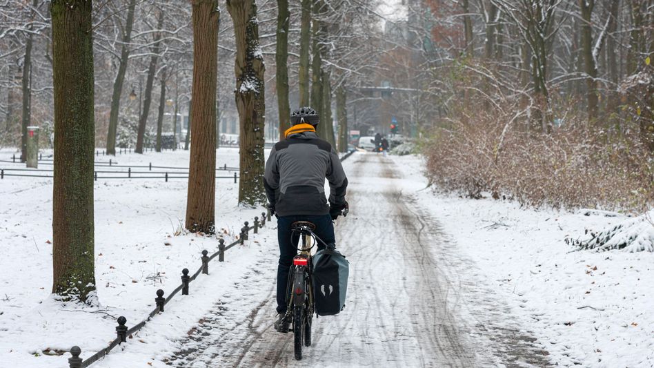 Istraživanje: Što je čovek pismeniji, to više vozi bicikl