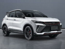 Article_173687_860_575