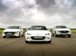 Article_173765_860_575