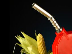 b801bcf5cf2d4c7fdf973d3d39757c0e453f74e2