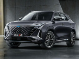 Article_173826_860_575