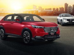 Article_173916_860_575