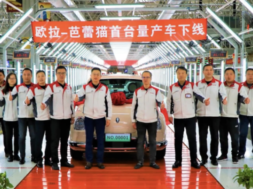 ora_ballet_cat_2_777-768×432