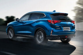 Article_174039_860_575