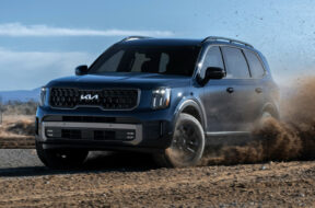 Article_174048_860_575