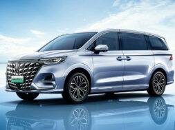 Article_174143_860_575