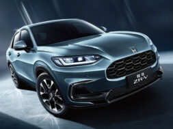 Article_174166_860_575