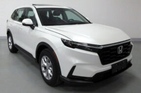 Article_174196_860_575