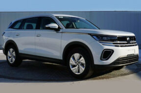 Article_174197_860_575